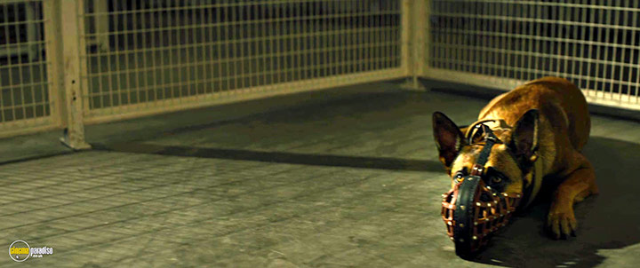A still #36 from Dog (2022)