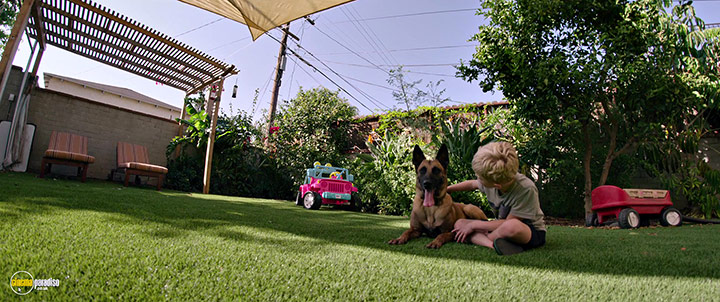 A still #40 from Dog (2022)