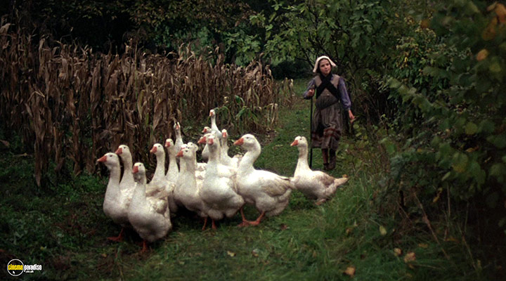 A still #14 from The Duellists (1977)