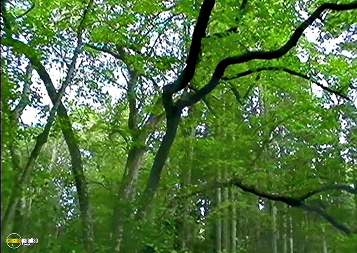 A still #13 from The Last Broadcast (1998)