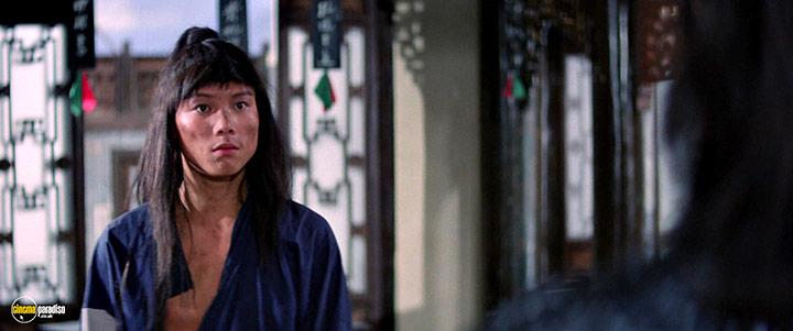 A still #29 from The Five Venoms / Crippled Avengers (1978)