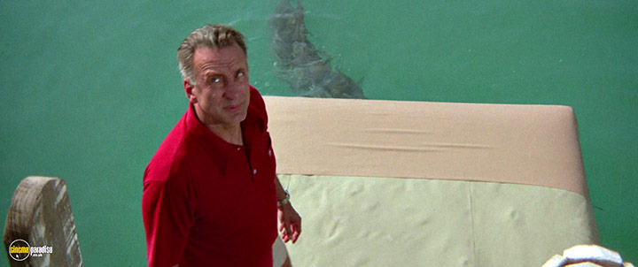 A still #32 from The Day of the Dolphin (1973)