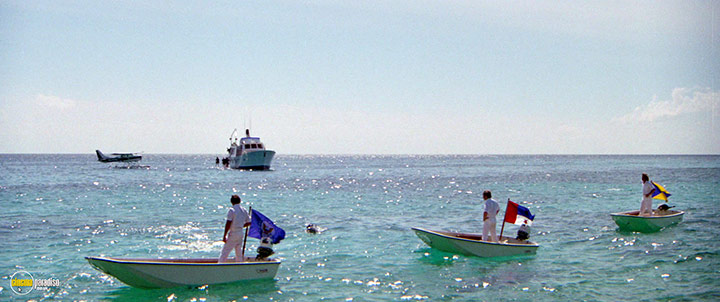 A still #25 from The Day of the Dolphin (1973)