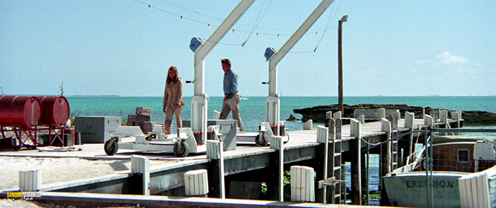 A still #17 from The Day of the Dolphin (1973)