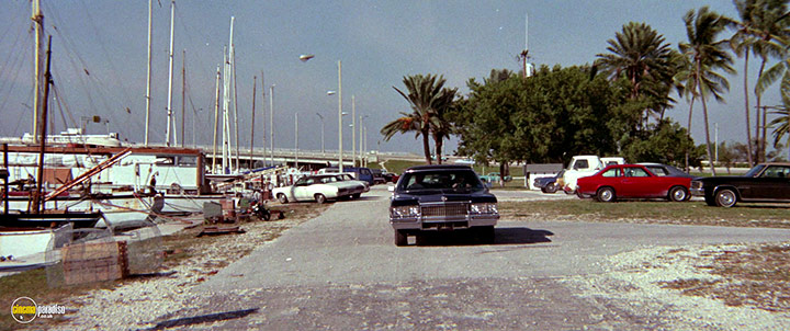 A still #16 from The Day of the Dolphin (1973)