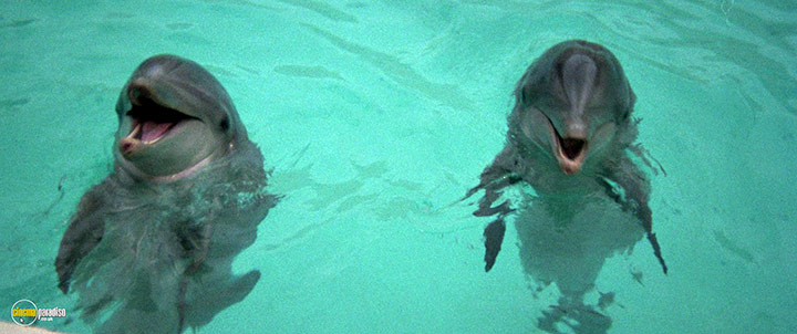 A still #11 from The Day of the Dolphin (1973)