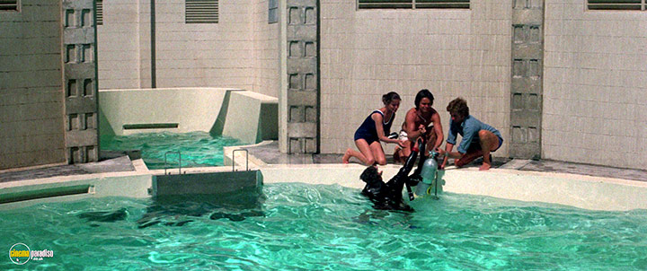 A still #10 from The Day of the Dolphin (1973)