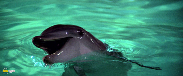 A still #9 from The Day of the Dolphin (1973)