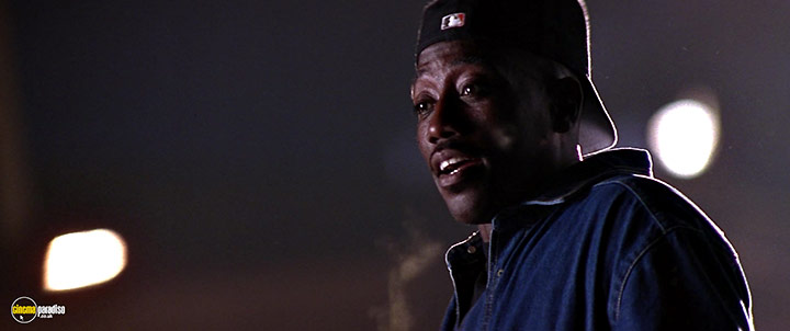 A still #22 from The Fan (1996)