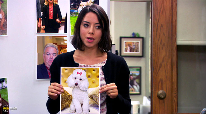 A still #11 from Parks and Recreation: Series 6 (2014)