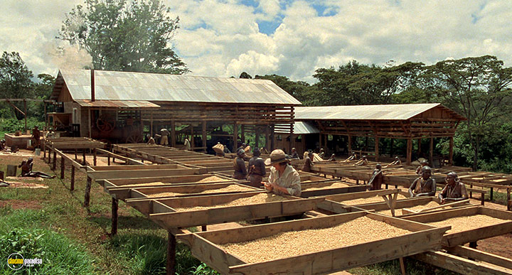 A still #8 from Out of Africa (1985)