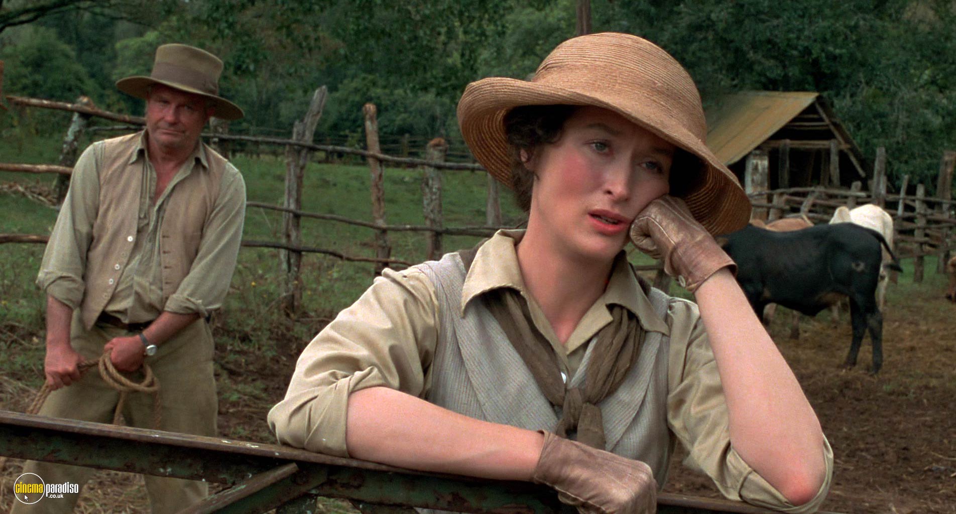 A still from Out of Africa (1985) 