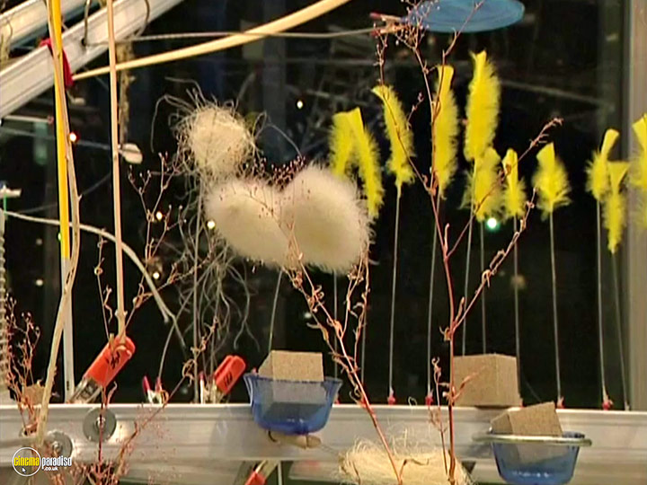 A still #14 from The Gleaners and I (2000)