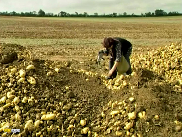 A still #19 from The Gleaners and I (2000)