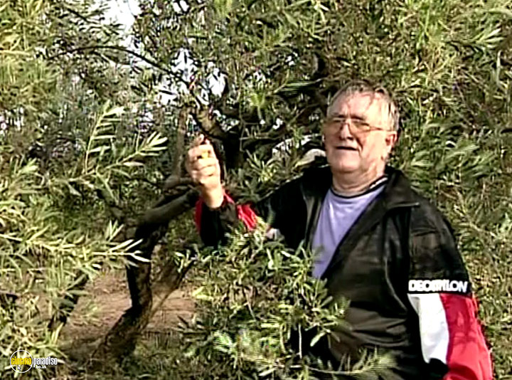 A still #24 from The Gleaners and I (2000)