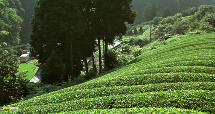 A still #37 from The Mourning Forest (2007)