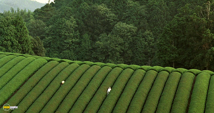 A still #36 from The Mourning Forest (2007)