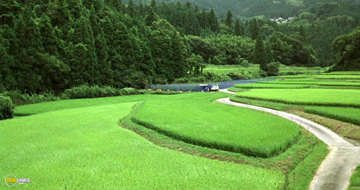 A still #32 from The Mourning Forest (2007)