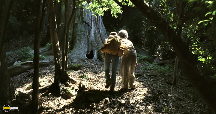 A still #18 from The Mourning Forest (2007)