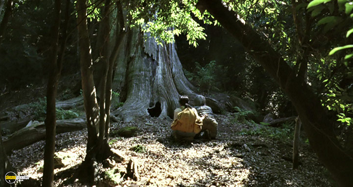 A still #17 from The Mourning Forest (2007)