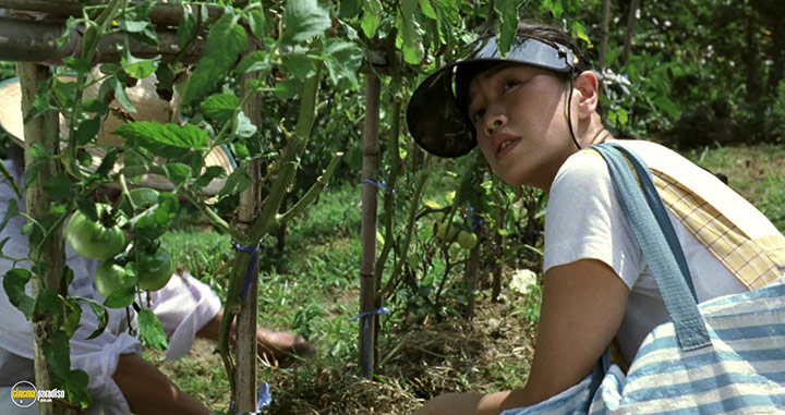 A still #13 from The Mourning Forest (2007)