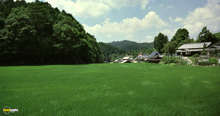 A still #4 from The Mourning Forest (2007)