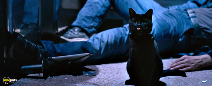 A still #27 from The Matrix Resurrections (2021)