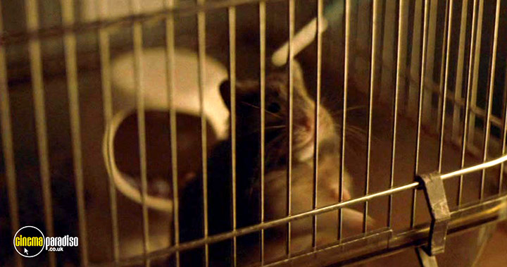 A still #27 from Closet Monster (2015)
