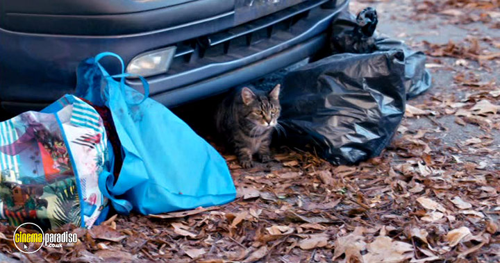 A still #16 from The Night Eats the World (2018)