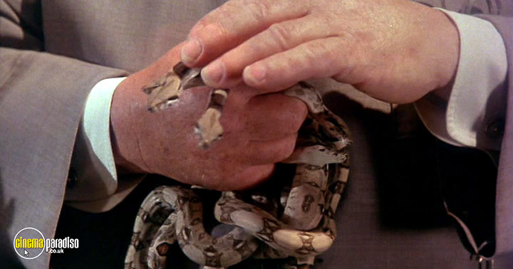 A still #25 from The Adventure of Sherlock Holmes' Smarter Brother (1975)