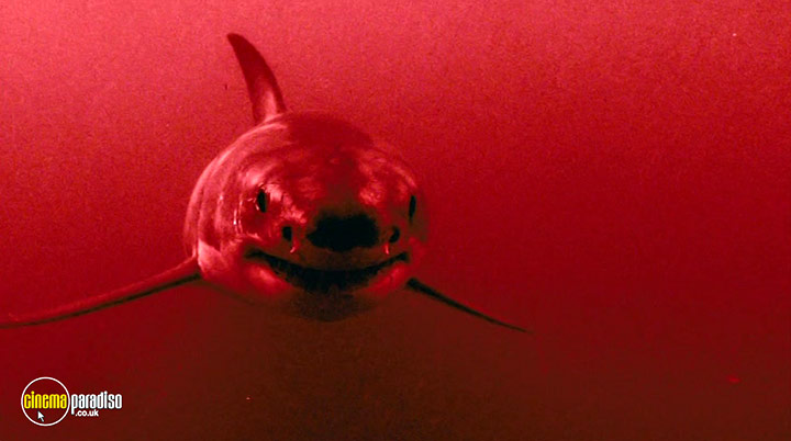 A still #13 from Shark Night (2011)