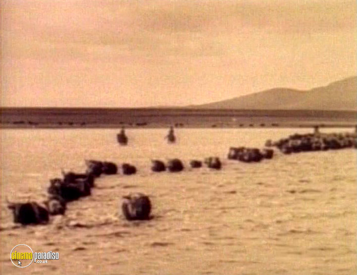 A still #26 from Adventures of the Old West: Texas Cowboys and the Trail Drivers (1993)