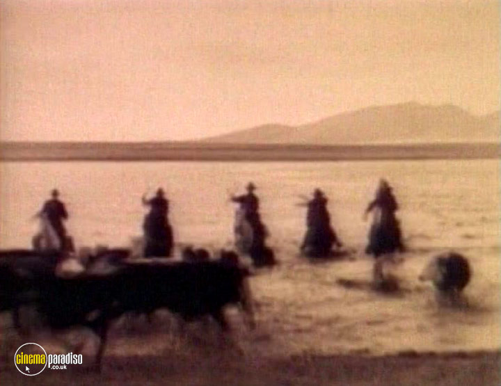 A still #25 from Adventures of the Old West: Texas Cowboys and the Trail Drivers (1993)