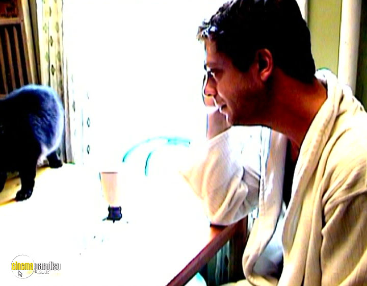 A still #19 from Tarnation (2003)
