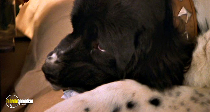 A still #10 from Hanging Up (2000)
