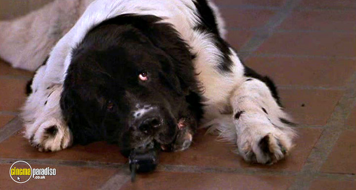 A still #8 from Hanging Up (2000)