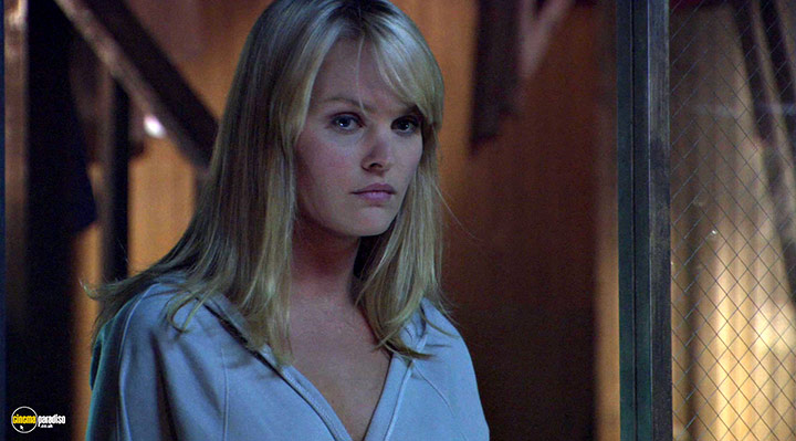 A still #26 from Species III (2004)