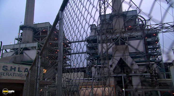 A still #13 from Species III (2004)