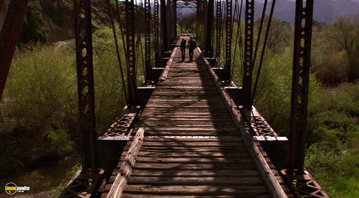 A still #10 from Species III (2004)