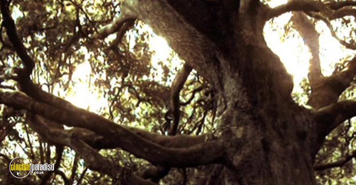 A still #20 from Witchcraft 2: Full Moon Magic (2010)