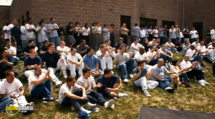 A still #18 from Young @ Heart (2006)