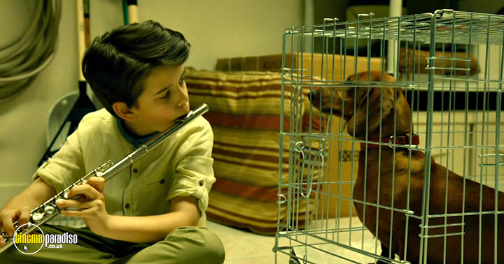 A still #1 from Wiener-Dog (2016)