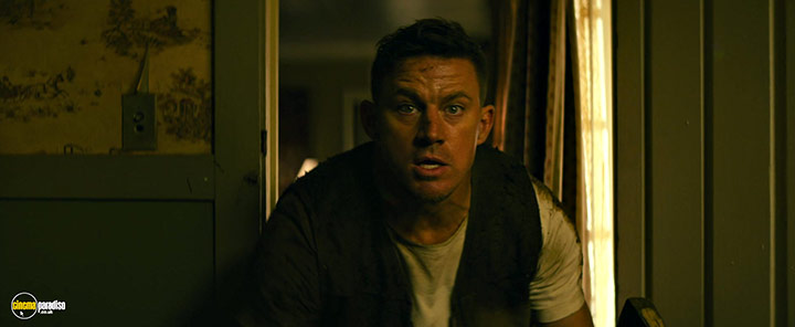 A still #32 from Dog (2022)