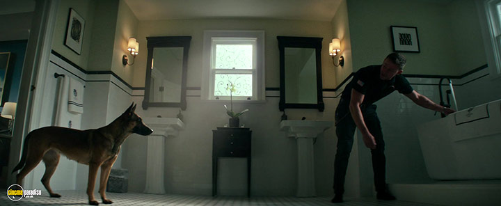 A still #27 from Dog (2022)