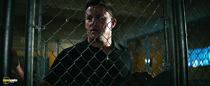 A still #22 from Dog (2022)