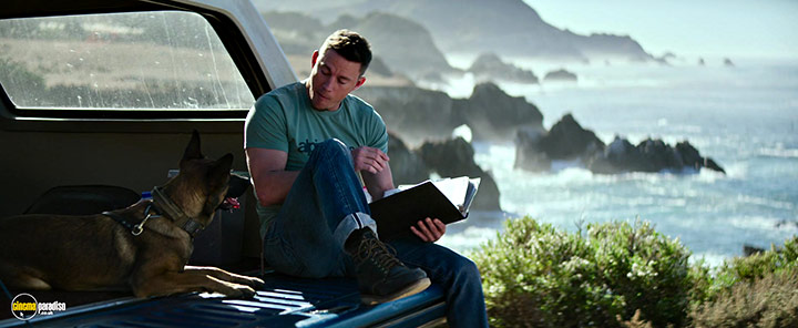 A still #18 from Dog (2022)