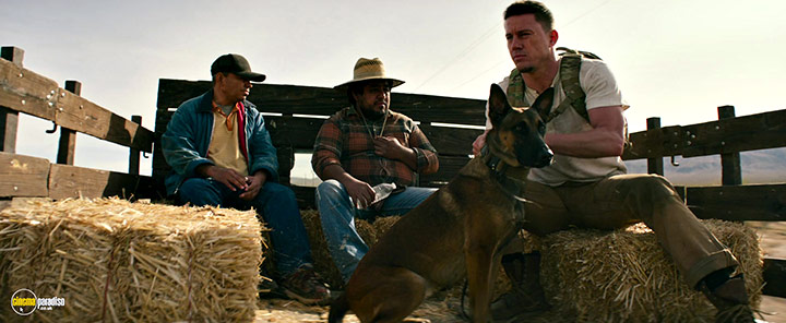 A still #13 from Dog (2022)