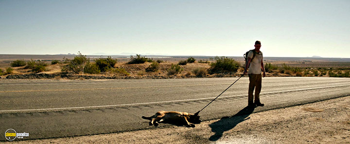 A still #12 from Dog (2022)