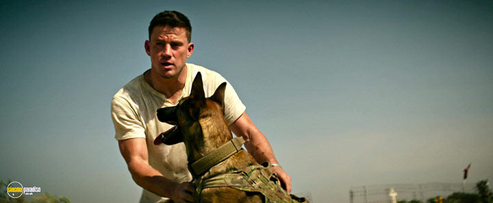 A still #10 from Dog (2022)