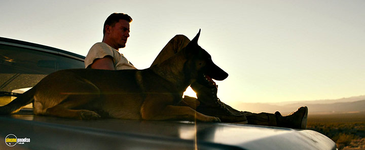 A still #8 from Dog (2022)